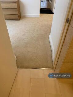 New Carpet