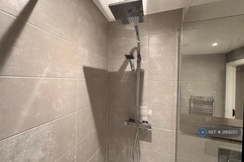 Thermostatic Monsoon Shower