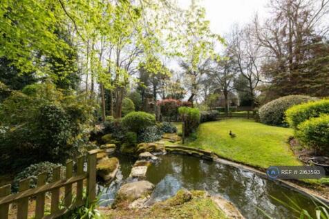 Pond