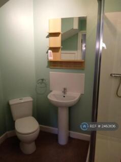 Downstairs Shower Room