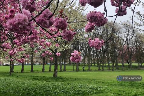 Nearby Harrison Park
