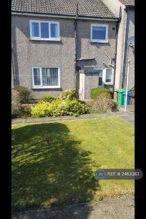 Back Garden