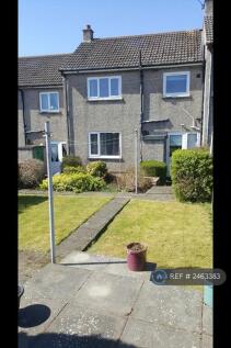 Back Garden