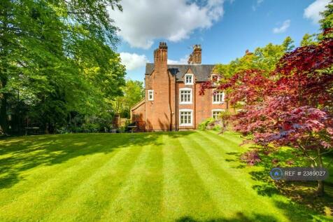 Back Garden
