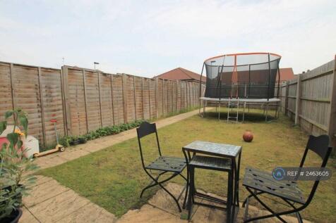 Back Garden