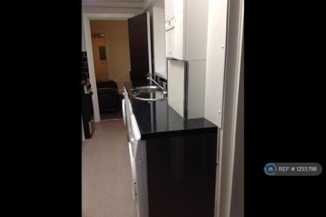 Ultra Modern Kitchen Pic 2