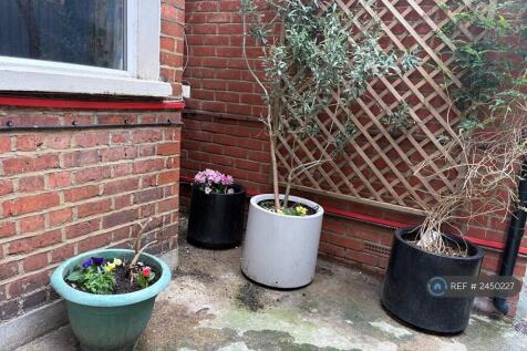 Planted Terrace Area 