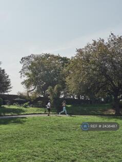 Park 