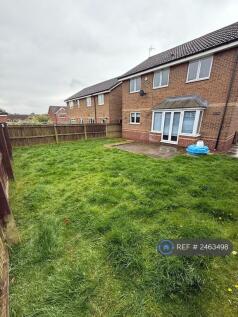 Back Garden 