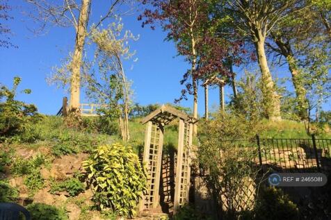 View Onto The Hillside Garden