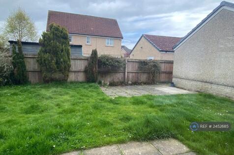 Back Garden