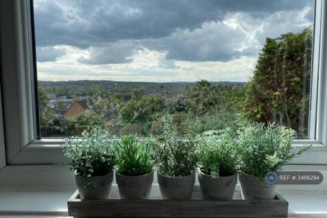 View From Kitchen 