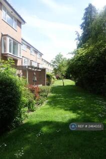 Communal Garden