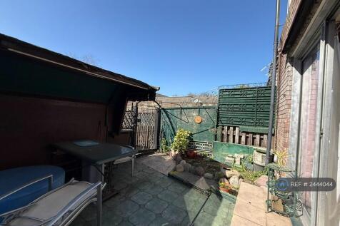 Back Garden
