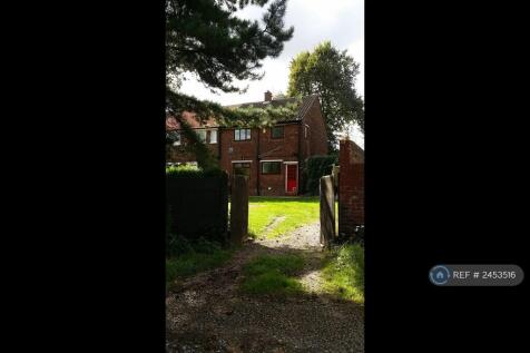 Back Garden