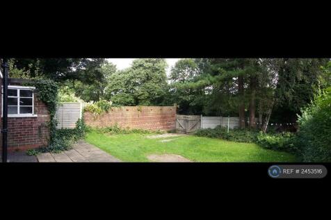Back Garden