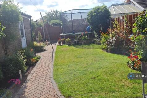 Garden In The Summer!