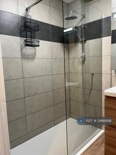 Rainfall Shower Head