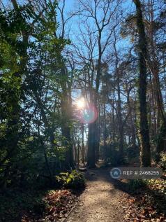 Hiltingbury Lakes Nearby