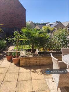 Garden South Facing 