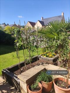 Garden South Facing 