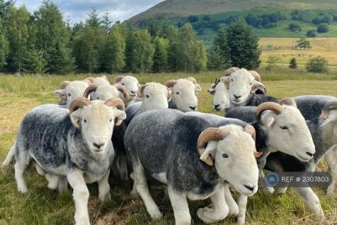 Lake District Coliving