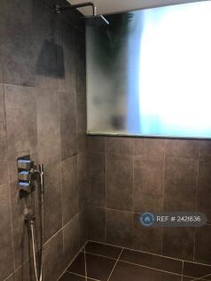 Master Bathroom Shower