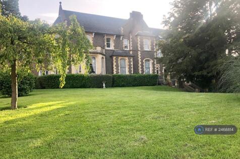 Rear Gardens