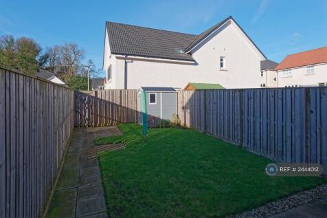 Back Garden