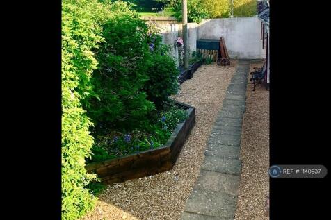 Side Garden (Wall To Be Painted Soon)