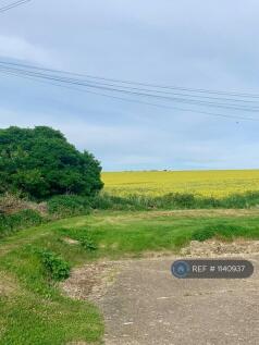 View To The Downs