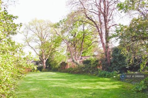 Communal Garden Space