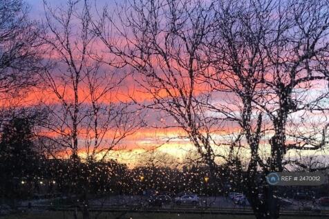 View From The Bedroom