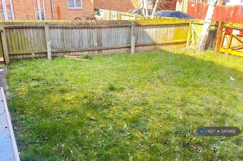 Back Garden