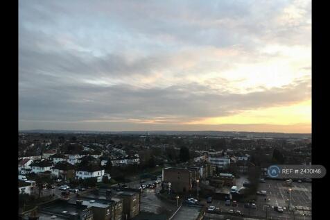 The View