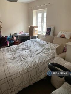 Downstairs Bedroom