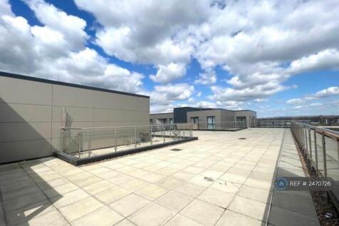 Communal Rooftop