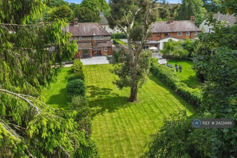 Back Garden 