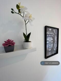 Room d