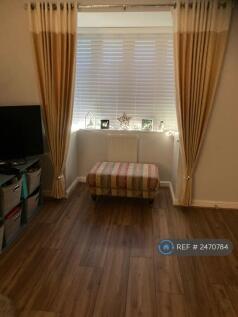 Bay Window 
