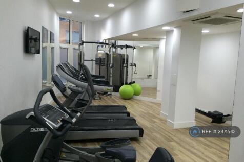 Gymnasium