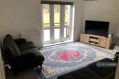Living Room View