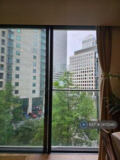 Living Room Window
