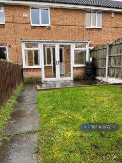 Back Garden
