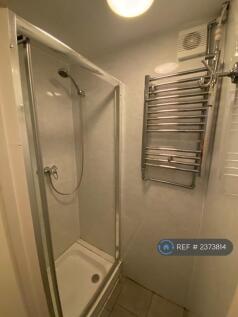 Downstairs Shower
