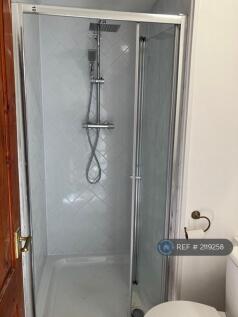Downstairs Shower