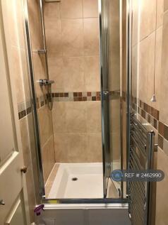 Downstairs Shower