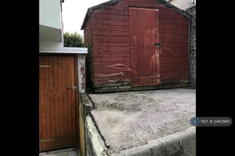 Back Garden