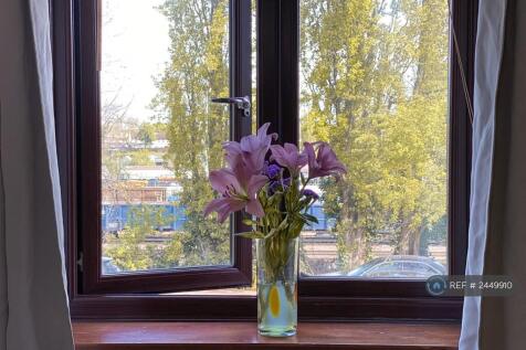 Bedroom Window