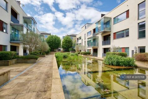 Communal Pond